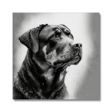 Rottweiler 'Charcoal Collection' Canvas