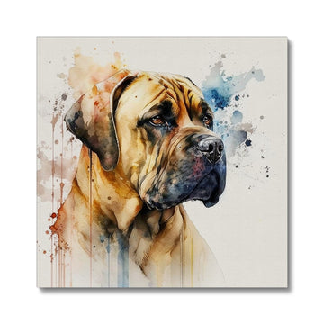 Boerboel Pet Portrait 'Watercolour Collection' Canvas