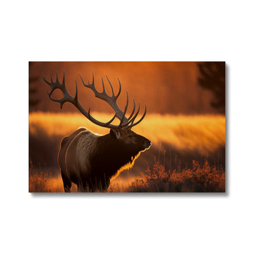 Bull Elk Landscape 'Natural Collection' Canvas