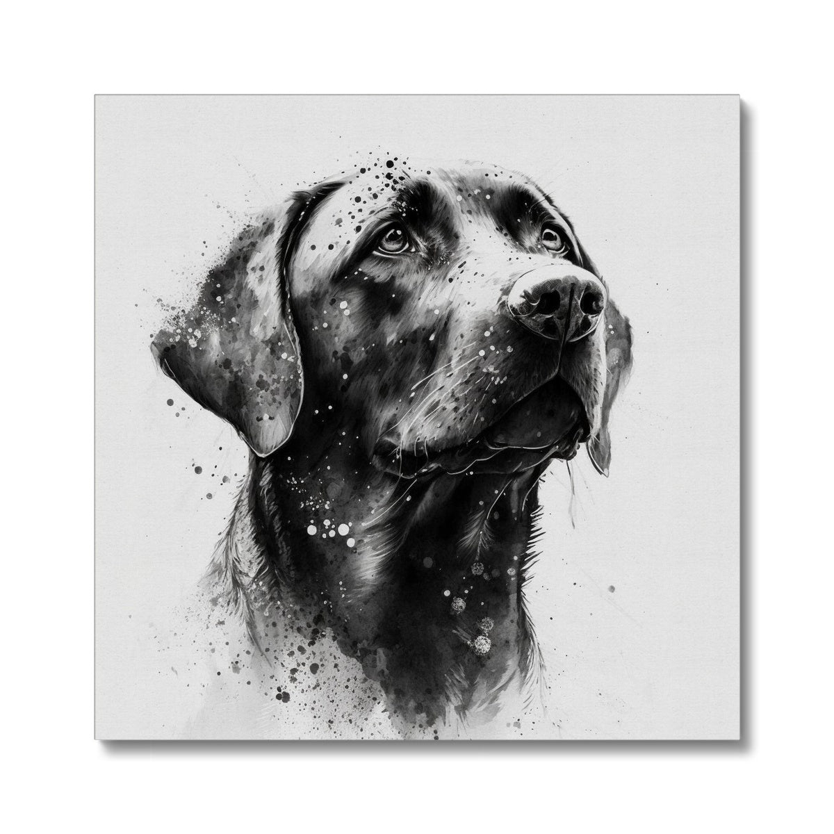 Labrador 'Charcoal Collection' Canvas